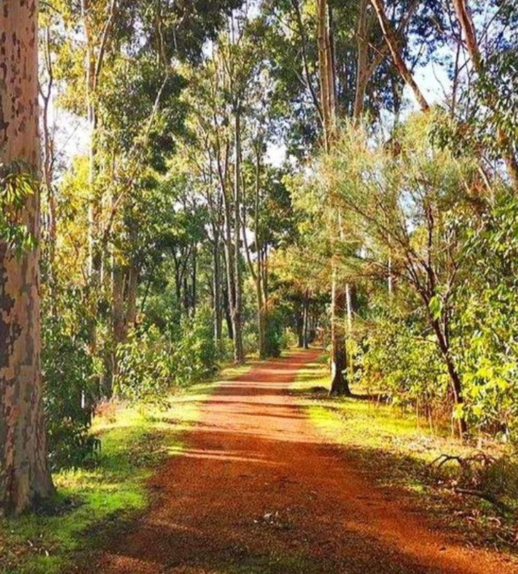 Mahogany Inn And Distillery Mahogany Creek 외부 사진